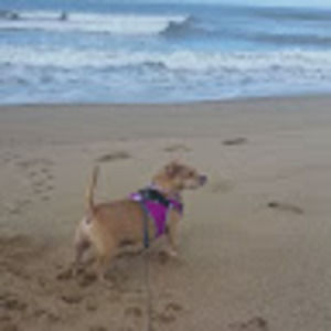 Meet your Posher, Mlb0120